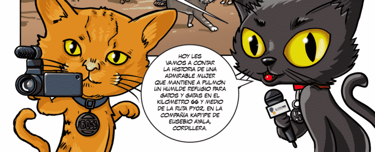 Los Gatos Reporteros presentan a Ña Delo, la protectora de los michis