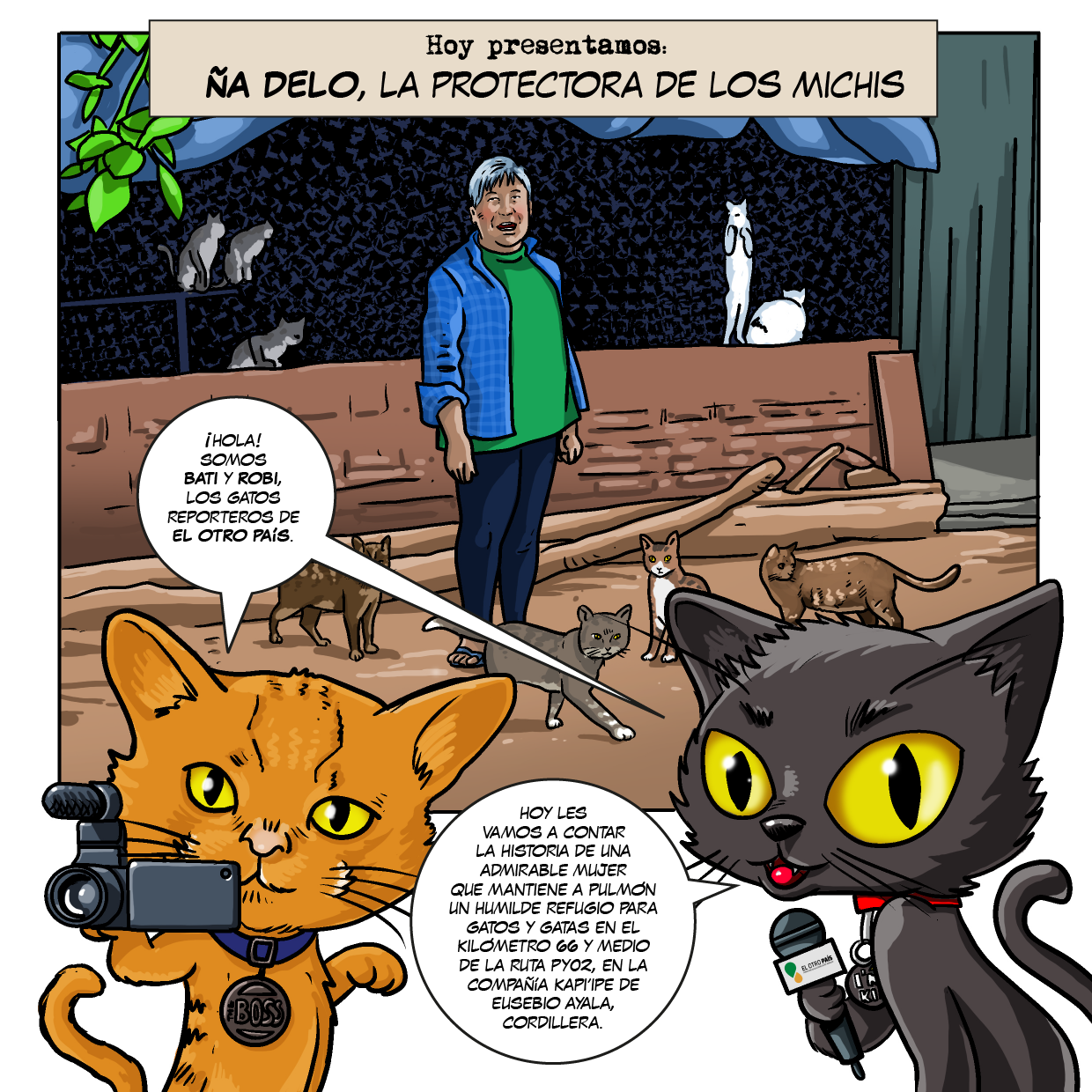 Los Gatos Reporteros presentan a Ña Delo, la protectora de los michis - El  Otro País