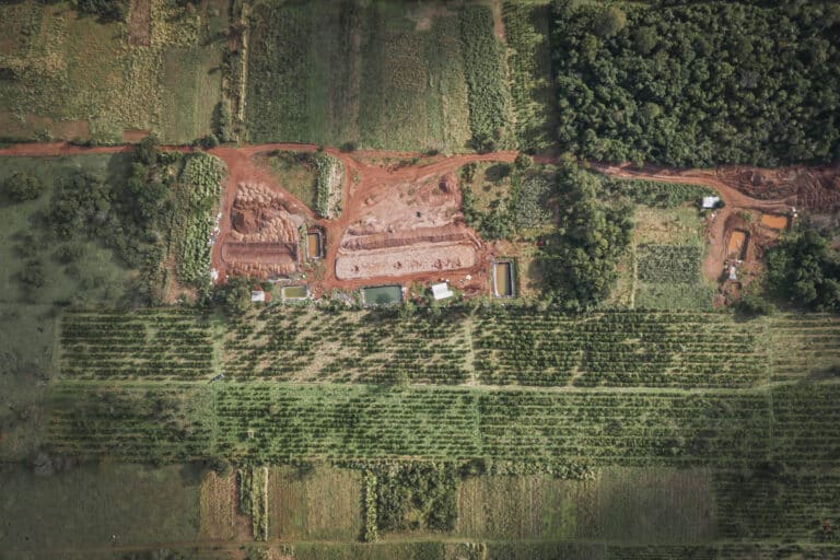 La lucha de la yerba mate contra la contaminación minera en Paso Yobai