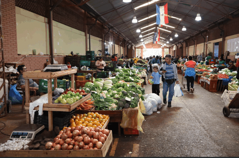 Del monocultivo a la diversidad: la historia de los feriantes que convirtieron la crisis en oportunidad